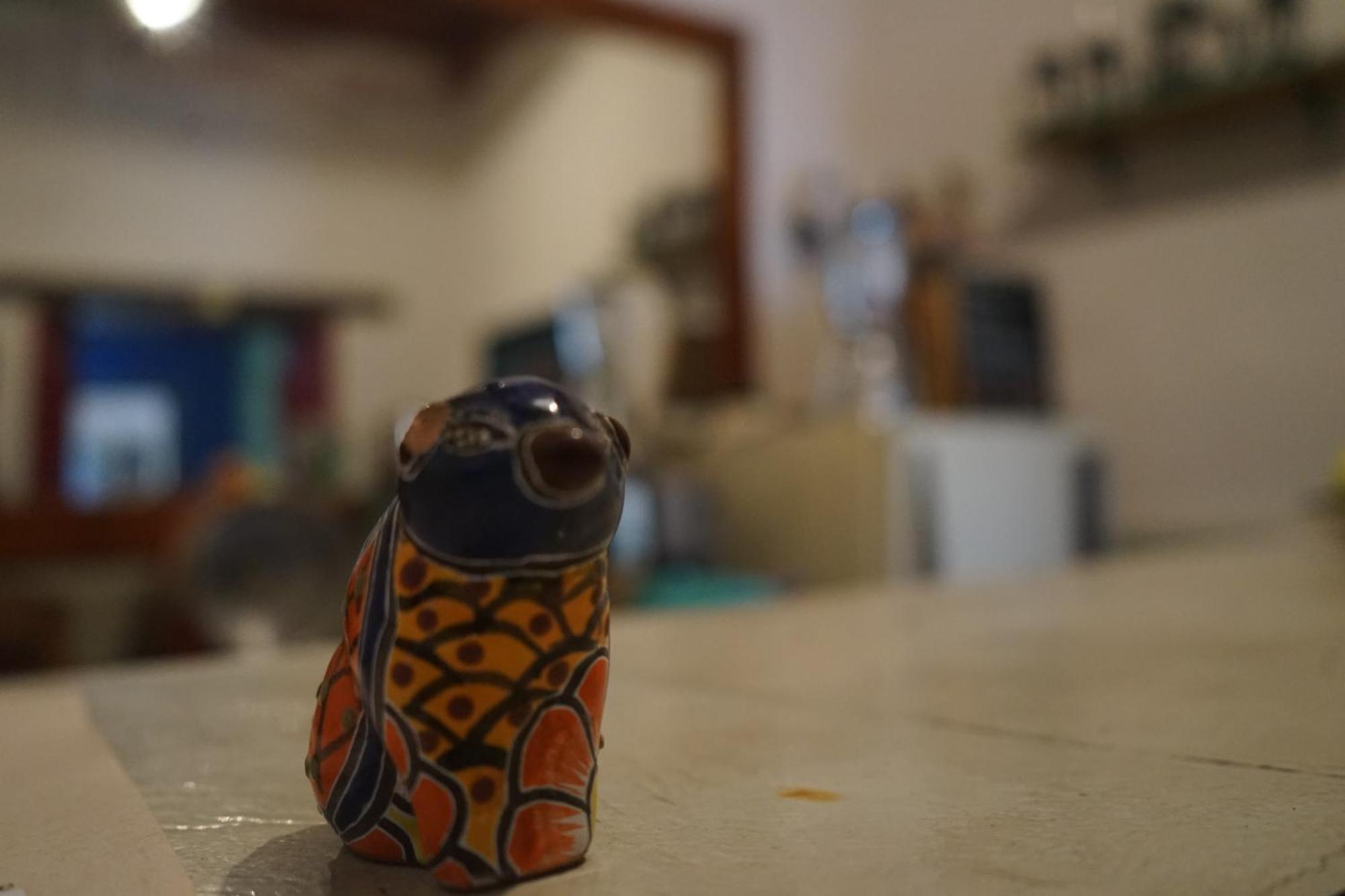 Hostalito Casa Alebrije 瓜纳华托 外观 照片